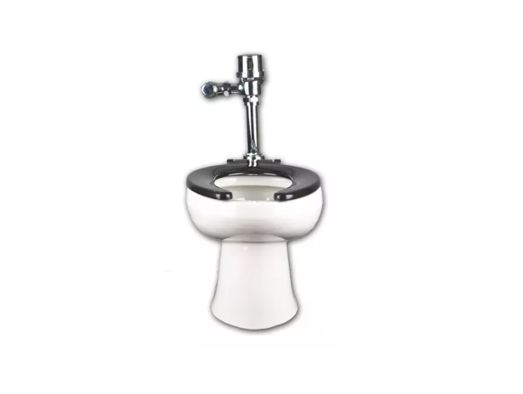 WC CARLTON P/FLUXOMETRO